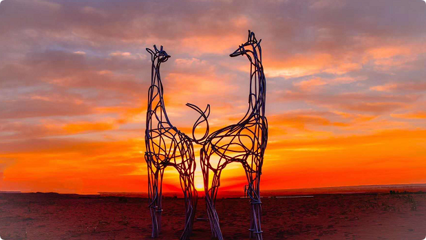 武威研學(xué)線路：大漠風(fēng)情體驗(yàn)游