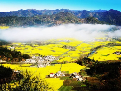 做景區(qū)不賺錢，問(wèn)題究竟出在哪？