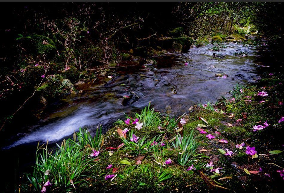 20190701101739.png 微信圖片_20190701090744.png