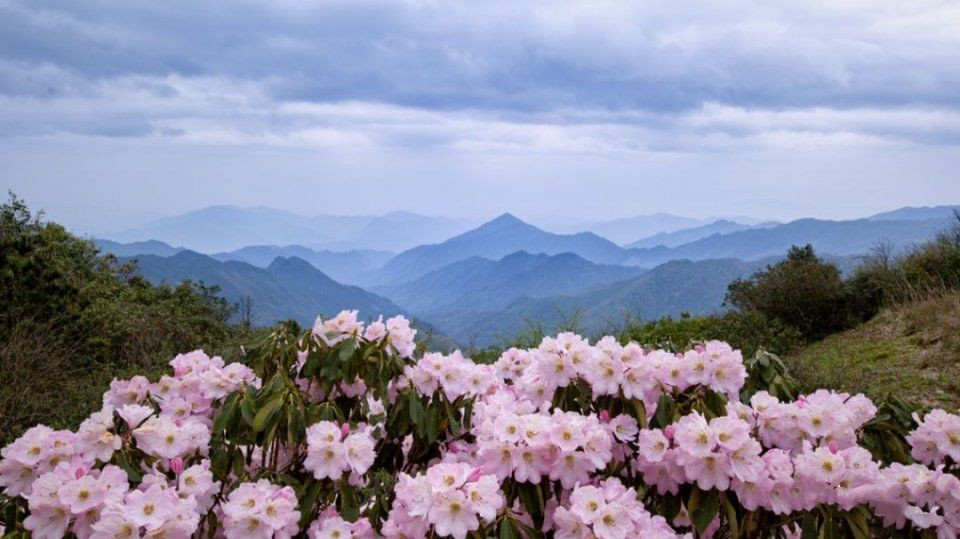 20190701944671.png 微信圖片_20190701090741.png