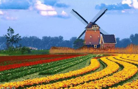 景點(diǎn)售票管理系統(tǒng)上線平江大風(fēng)車樂(lè)園