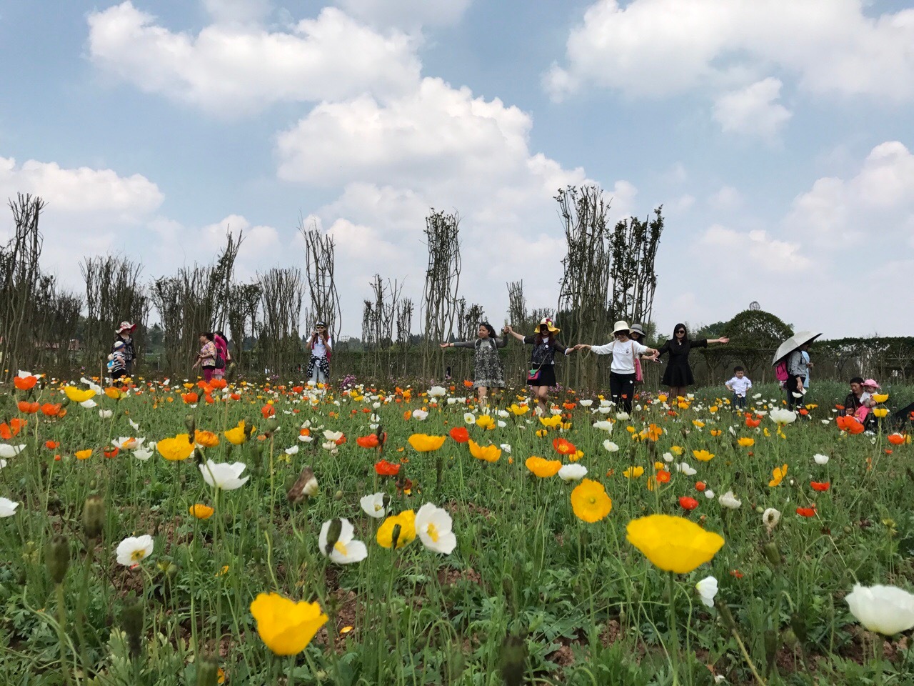 又有景區(qū)倒閉了踩了什么坑，景區(qū)票務系統(tǒng)可以解決哪些？ 