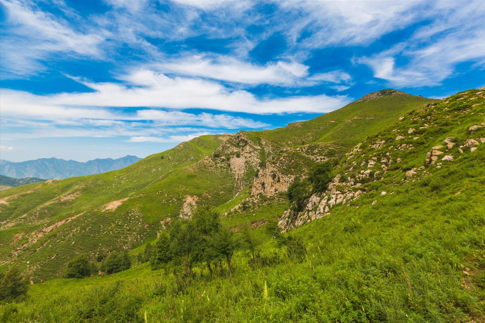 門票預(yù)約小程序都有哪些？真的好用嗎？