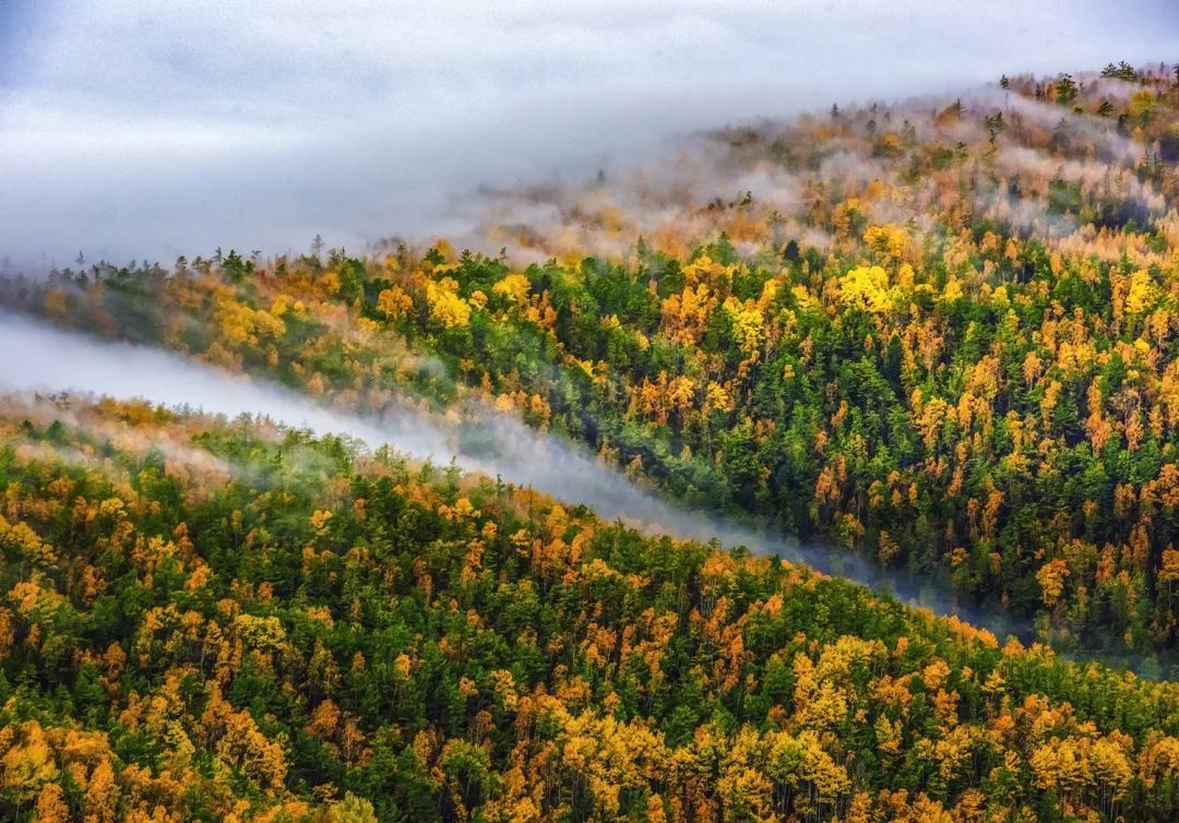 電子門票系統(tǒng)下載如何開展電子門票的相關(guān)事宜？在線客戶