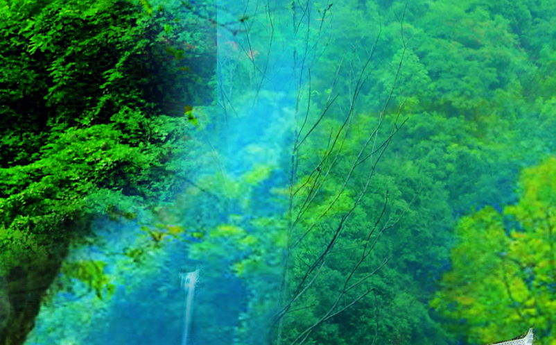 景區(qū)一卡通票務(wù)系統(tǒng)方案