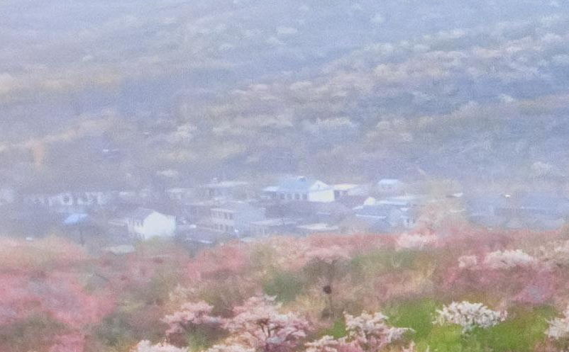 景區(qū)營銷銷售促進(jìn)策略制定