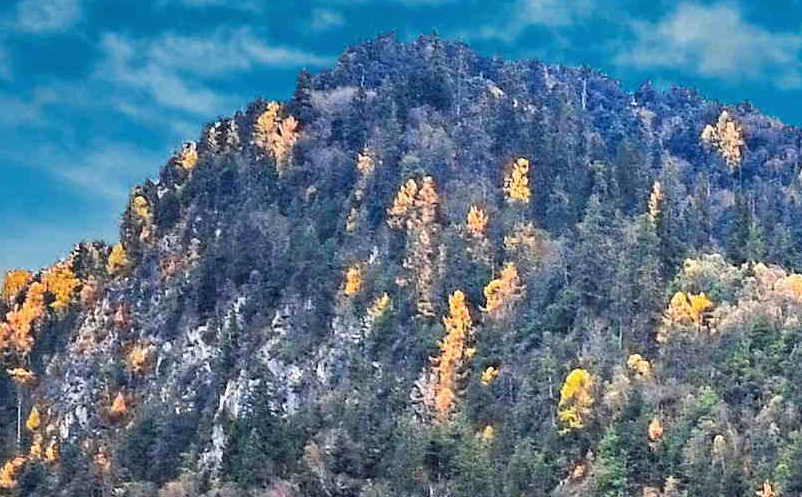 景區(qū)項目開發(fā)