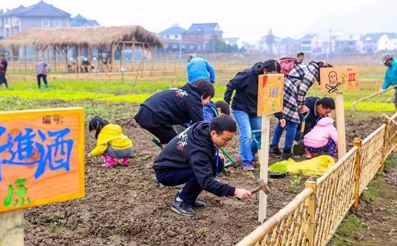 鄉(xiāng)村旅游景區(qū)沉浸式耕作體驗g
