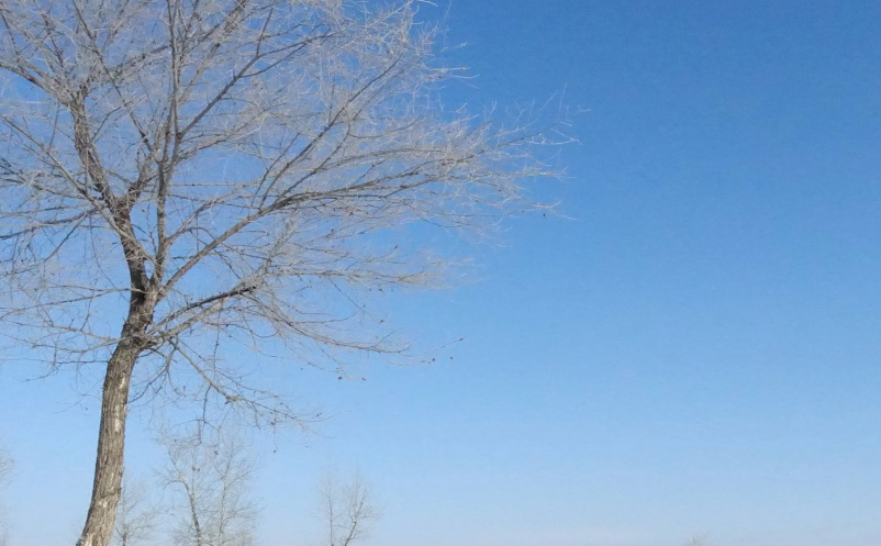 “互聯(lián)網(wǎng)+”背景下冰雪體育旅游發(fā)展