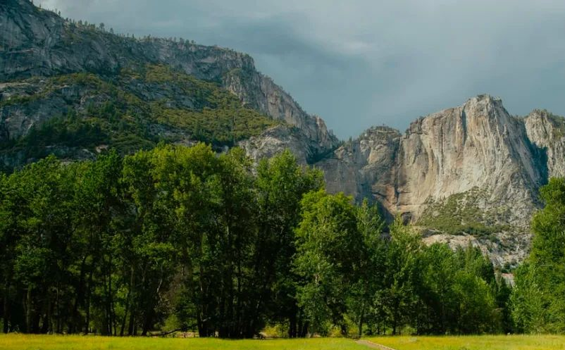 1640583251617073.png image.png