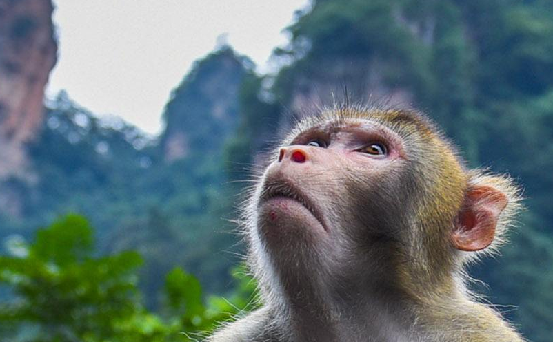 智慧旅游營(yíng)銷