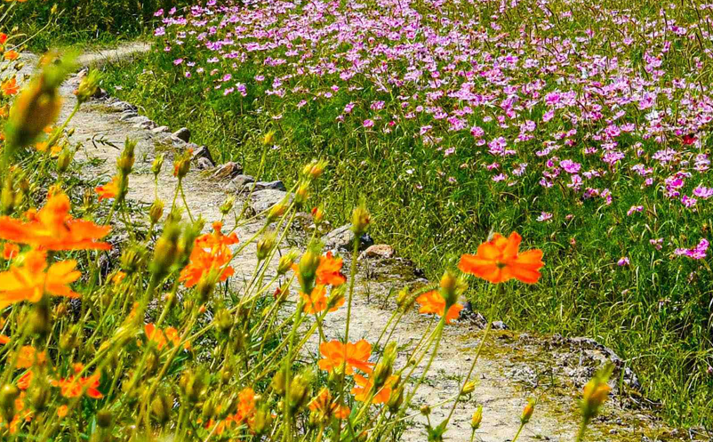 智慧旅游營銷策略