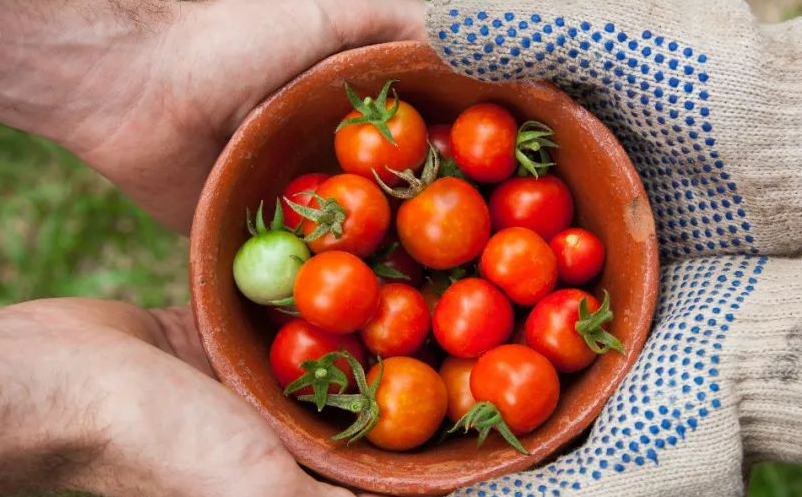 鄉(xiāng)村旅游項(xiàng)目開發(fā)