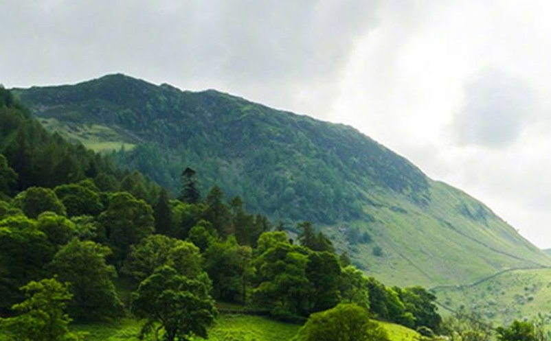 智慧旅游需要數(shù)字鄉(xiāng)村提質(zhì)增效g