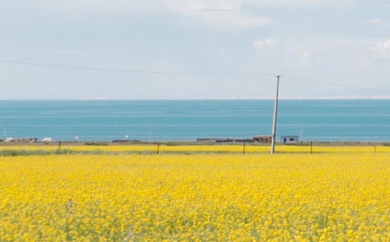 數(shù)字鄉(xiāng)村