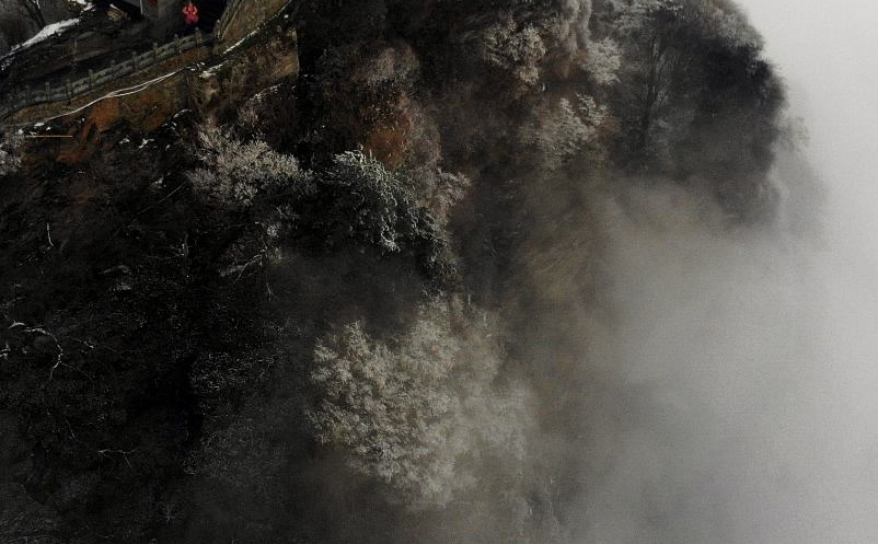 1642743623905877.png image.png