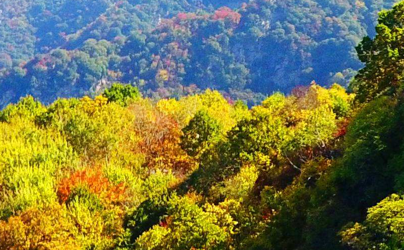 景區(qū)營(yíng)銷策略