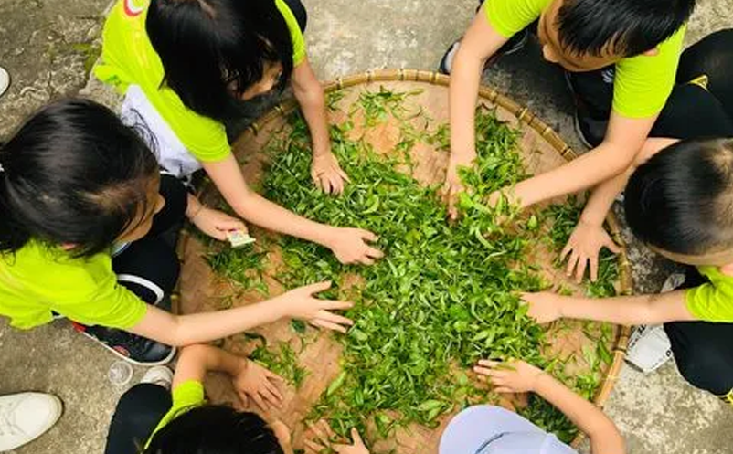 親子研學(xué)、家庭休閑為主要出游動機