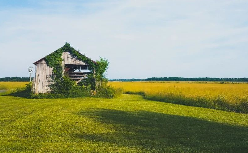 旅游是天然的體驗(yàn)經(jīng)濟(jì)