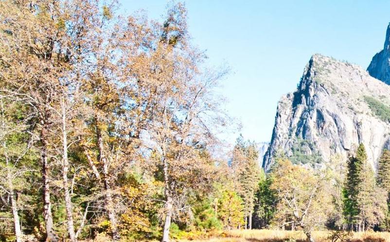 景區(qū)整合營銷