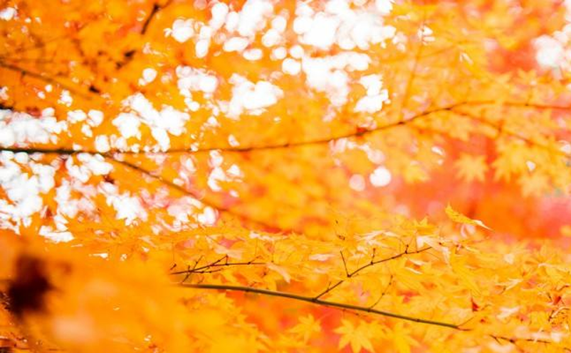 景區(qū)票務(wù)信息化建設(shè)