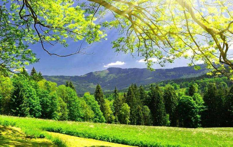 景區(qū)如何服務(wù)好本地游客，做好本地游客市場(chǎng)