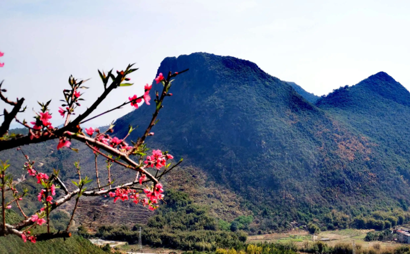 當(dāng)疫情防控遇到 “五一”假期，“鄉(xiāng)村游”將大有可為？