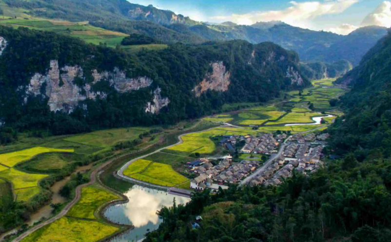 1653467101952774.png image.png