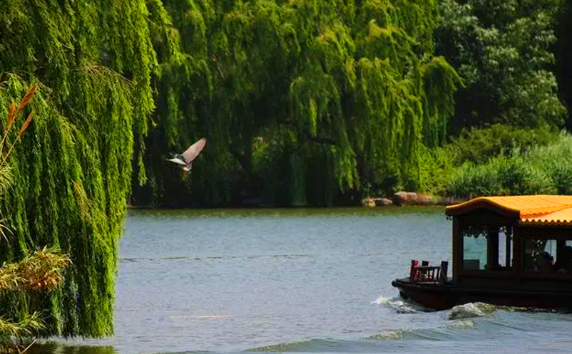 景區(qū)短視頻營(yíng)銷的價(jià)值