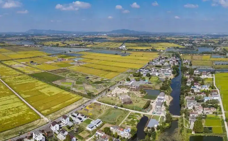 推進(jìn)鄉(xiāng)村振興和城鄉(xiāng)融合發(fā)展面臨的主要問題與對(duì)策建議