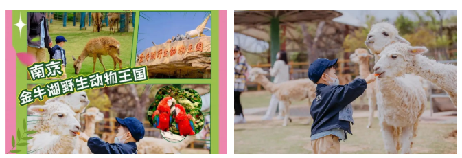 1655972602113933.png image.png