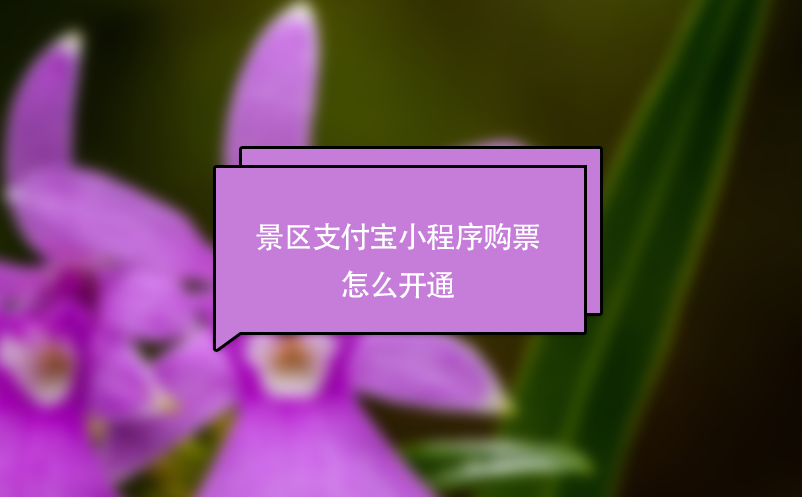 景區(qū)支付寶小程序購票怎么開通？