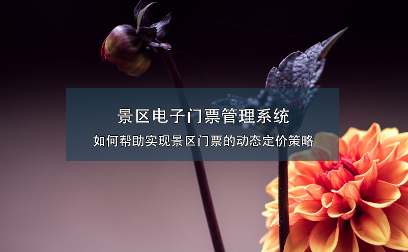 景區(qū)電子門票管理系統(tǒng)如何幫助實現(xiàn)景區(qū)門票的動態(tài)定價策略