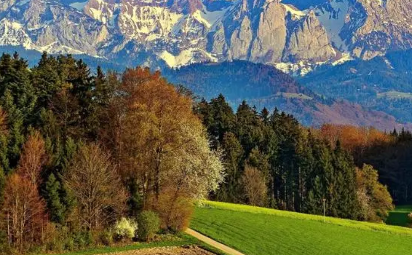 社保卡文旅一卡通（社?？ń尤刖皡^(qū)票務(wù)系統(tǒng)）