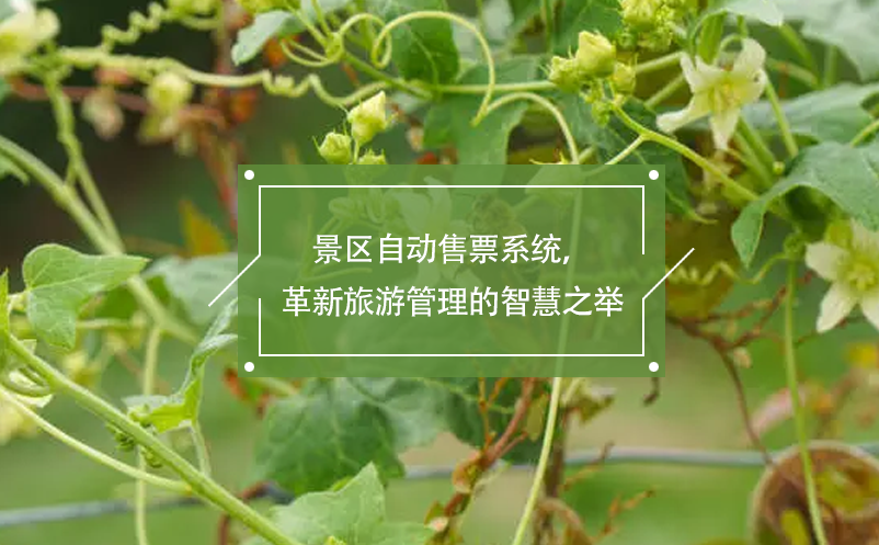 景區(qū)自動售票系統(tǒng)，革新旅游管理的智慧之舉