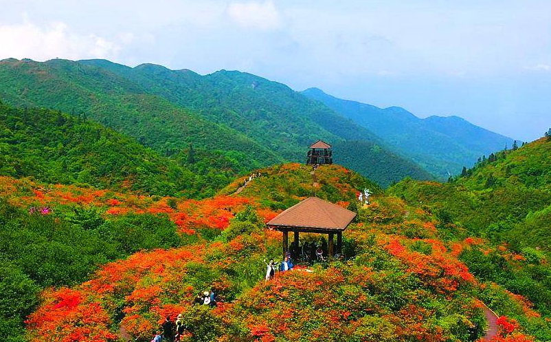 舉例說明景區(qū)票務(wù)系統(tǒng)如何提升景區(qū)的競(jìng)爭(zhēng)力和運(yùn)營(yíng)效率