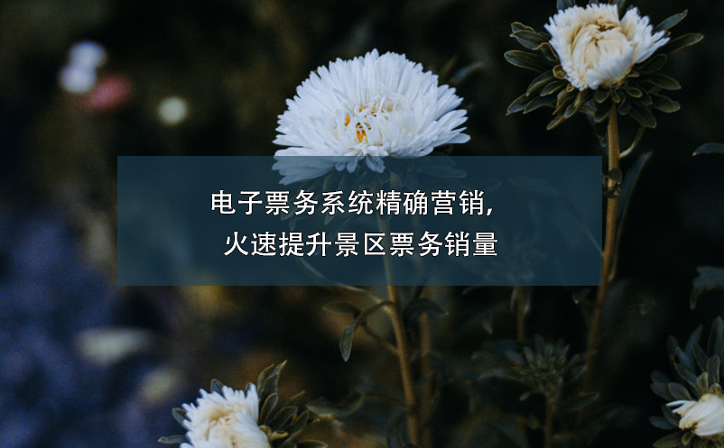 電子票務(wù)系統(tǒng)精確營(yíng)銷(xiāo)，火速提升景區(qū)票務(wù)銷(xiāo)量