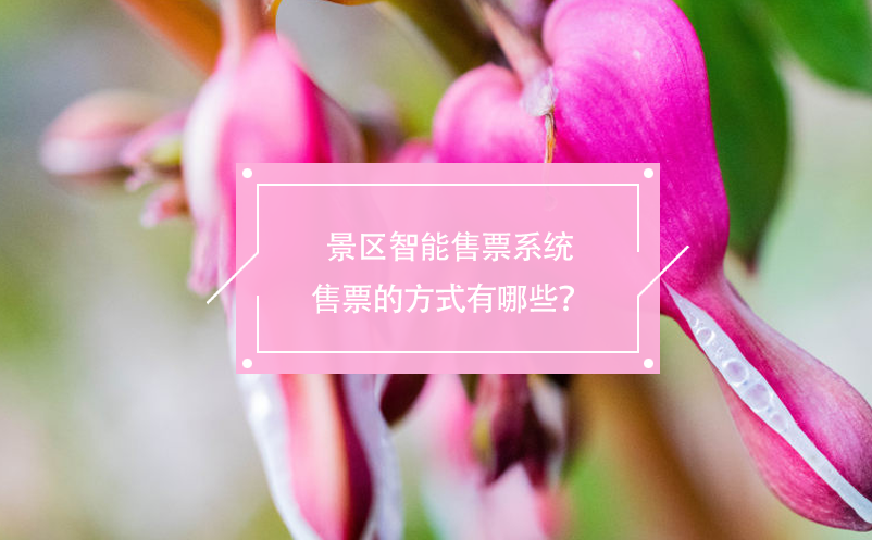 景區(qū)智能售票系統(tǒng)售票的方式有哪些？