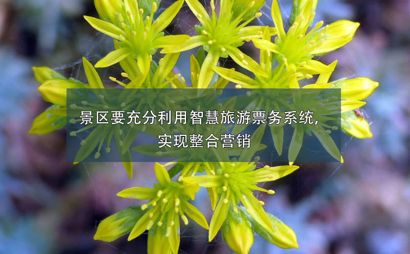 景區(qū)要充分利用智慧旅游票務(wù)系統(tǒng)，實(shí)現(xiàn)整合營(yíng)銷