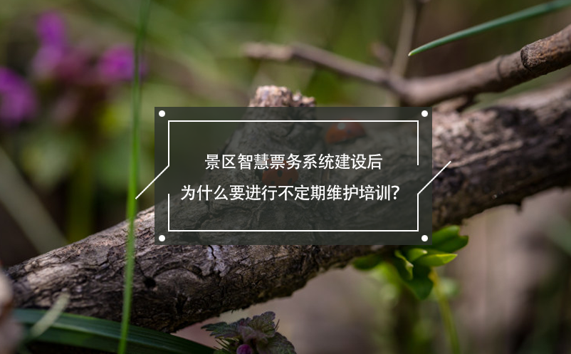 景區(qū)智慧票務(wù)系統(tǒng)建設(shè)后為什么要進(jìn)行不定期維護(hù)培訓(xùn)？