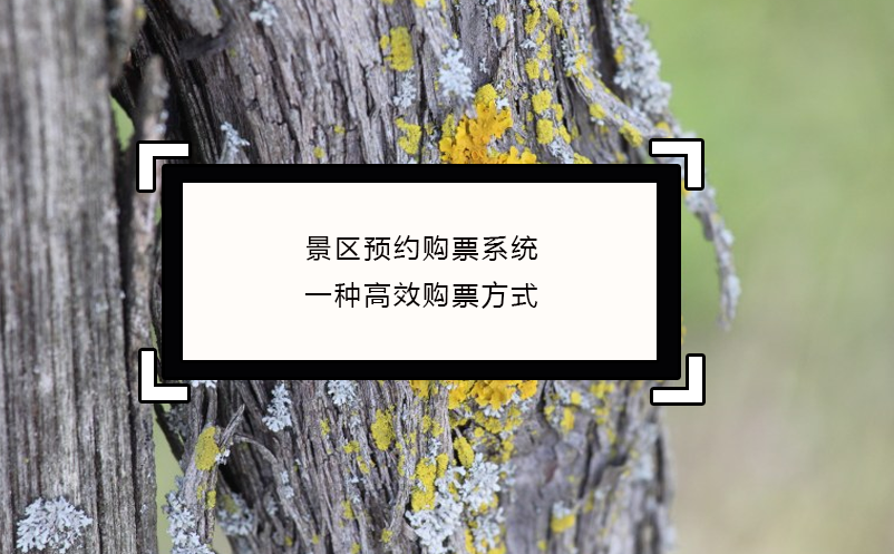 景區(qū)預(yù)約購(gòu)票系統(tǒng)一種高效購(gòu)票方式