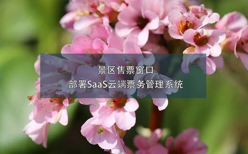 景區(qū)售票窗口部署SaaS云端票務(wù)管理系統(tǒng)