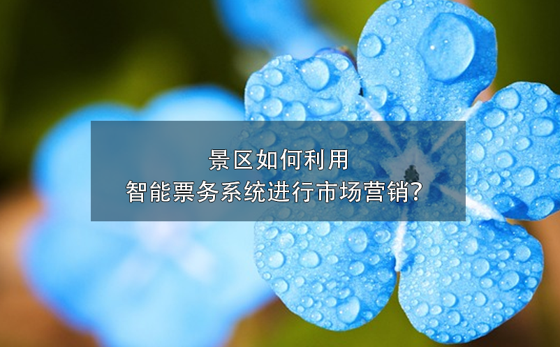景區(qū)如何利用智能票務(wù)系統(tǒng)進行市場營銷？