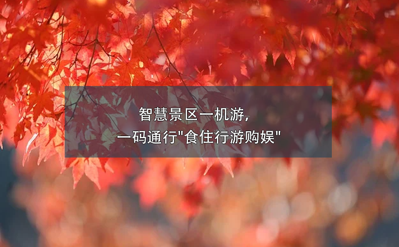 智慧景區(qū)一機游，一碼通行