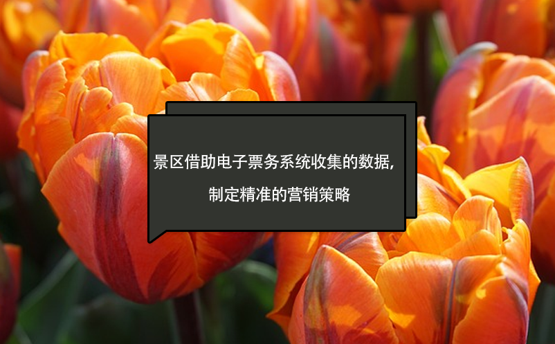 景區(qū)借助電子票務系統(tǒng)收集的數據，制定精準的營銷策略