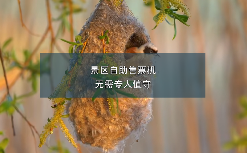 景區(qū)自助售票機(jī)無(wú)需專人值守