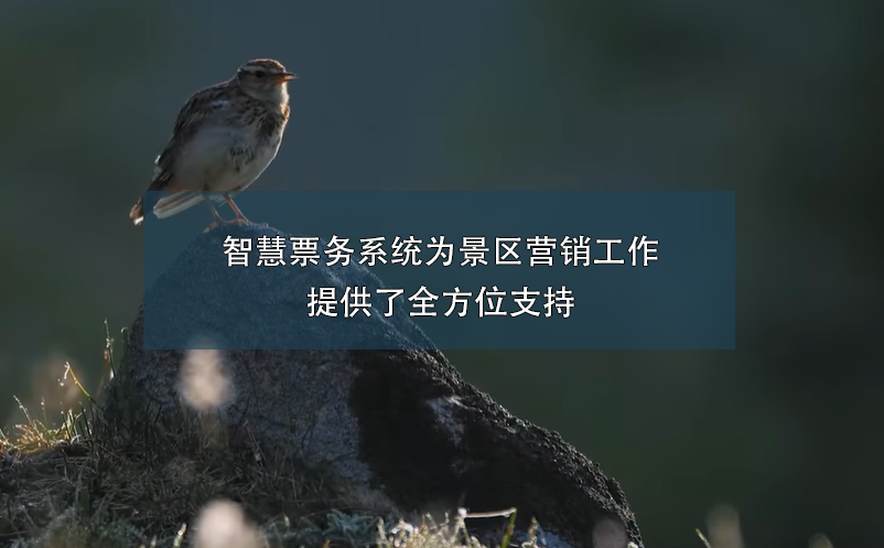 智慧票務(wù)系統(tǒng)為景區(qū)營(yíng)銷(xiāo)工作提供了全方位支持