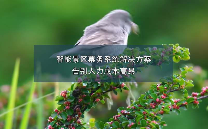 端午小長(zhǎng)假，智能票務(wù)系統(tǒng)如何在確保游客體驗(yàn)和提升景區(qū)的管理？
