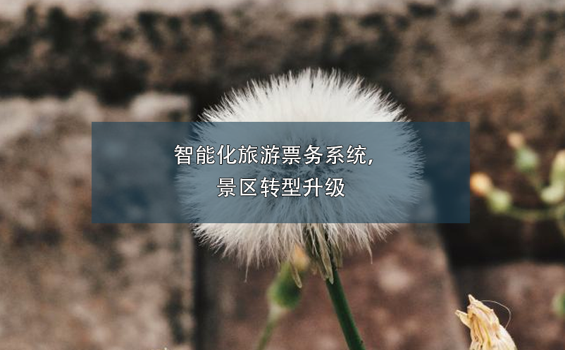 智能化旅游票務(wù)系統(tǒng)，景區(qū)轉(zhuǎn)型升級