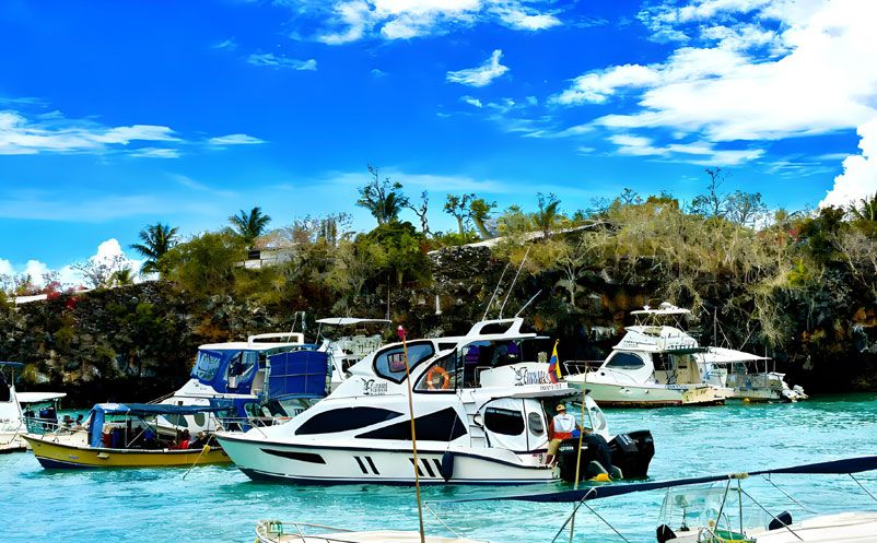 易景通簽約太平洋明珠航運(yùn)，西班牙語(yǔ)票務(wù)系統(tǒng)，開啟國(guó)際化新篇章